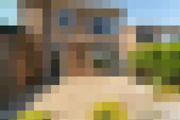 Dr.Wierstraat 10 Grave thumbnail 26
