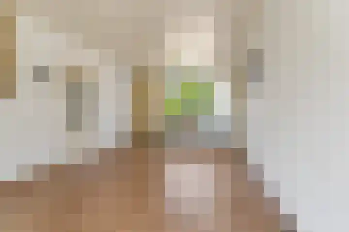 Dr.Wierstraat 10 Grave thumbnail 5