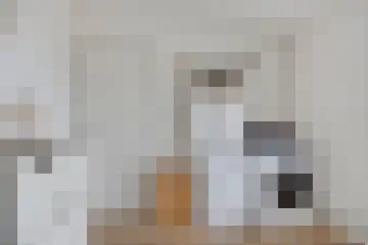 Dr.Wierstraat 18 Grave thumbnail 22