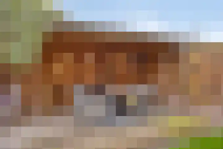 Dr.Wierstraat 18 Grave thumbnail 26