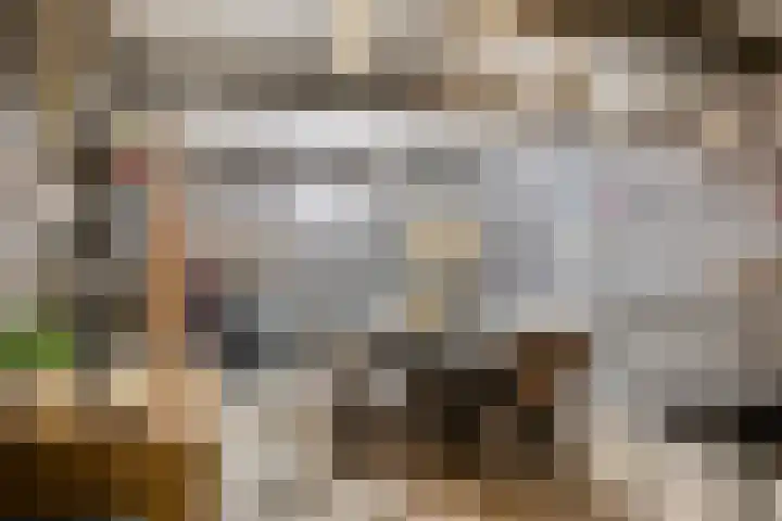 Dr.Wierstraat 18 Grave thumbnail 28