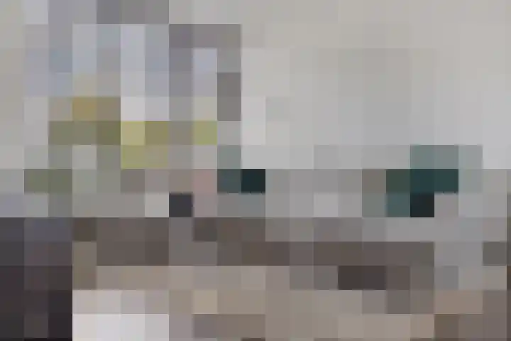 Dr.Wierstraat 18 Grave thumbnail 6