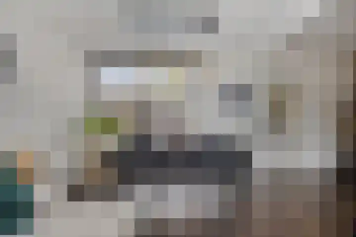 Dr.Wierstraat 18 Grave thumbnail 7