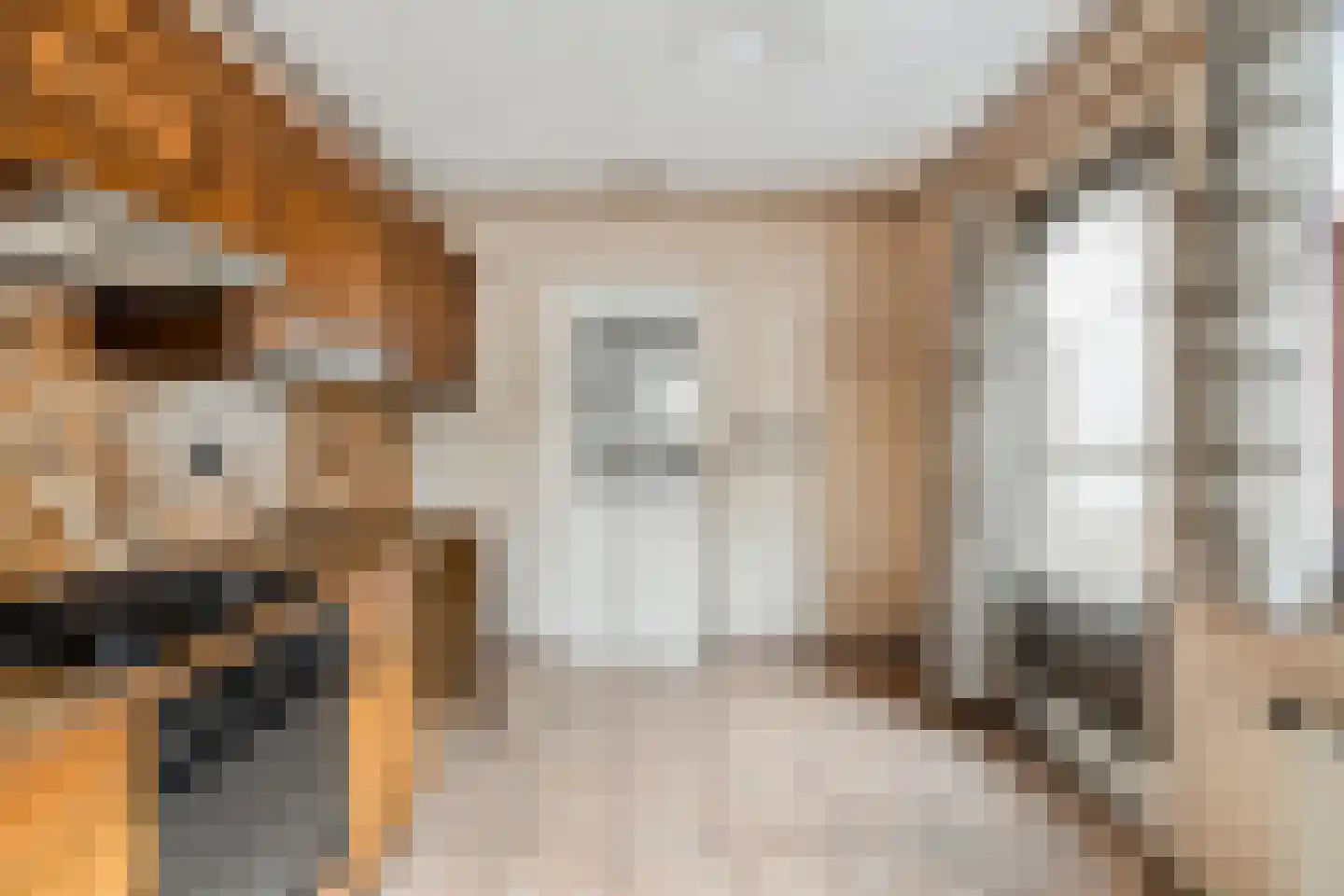 Dr.Wierstraat 5 Grave thumbnail 14