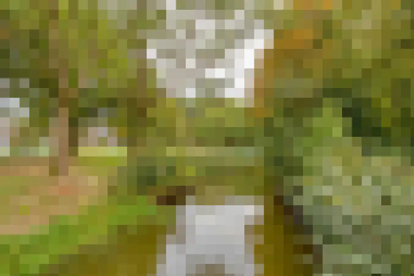 Dr.Wierstraat 5 Grave thumbnail 35