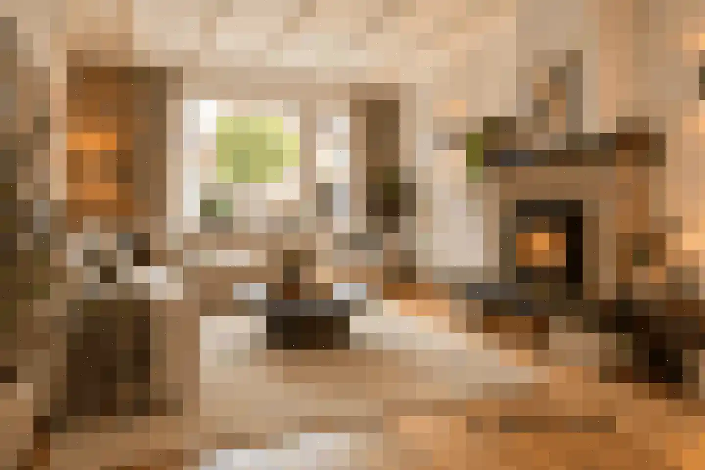Dr.Wierstraat 5 Grave thumbnail 6