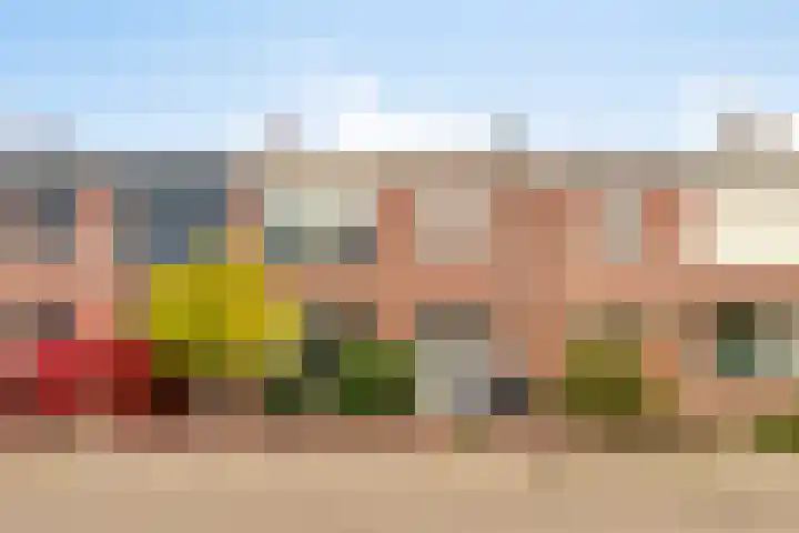 Dr.Wierstraat 6 Grave thumbnail 5