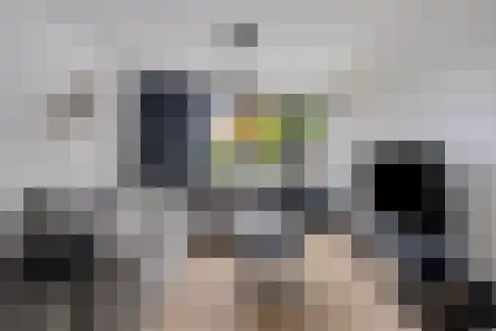 Dr.Wierstraat 6 Grave thumbnail 9