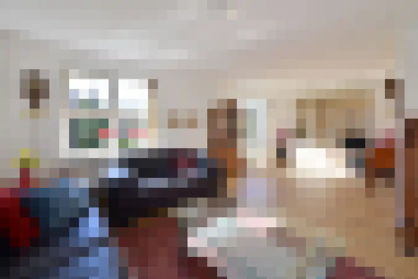 Dr. Willem Dreeslaan 15 Huizen thumbnail 13