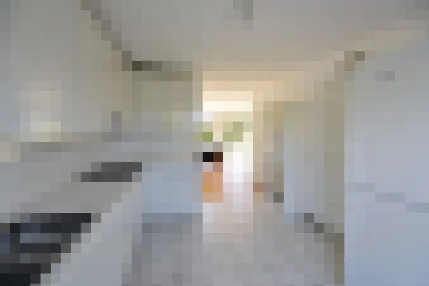Dr. Willem Dreeslaan 15 Huizen thumbnail 15