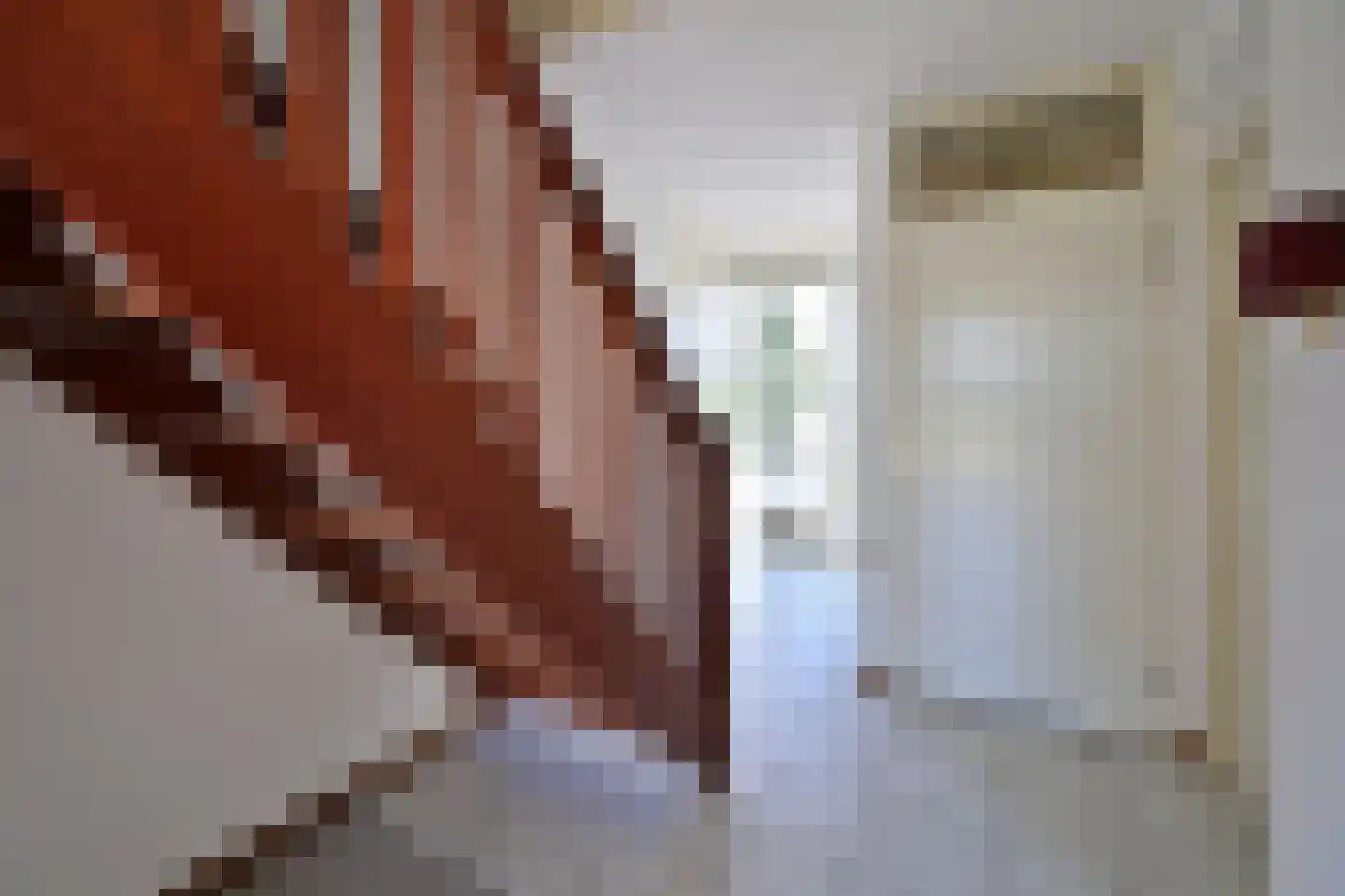 Dr. Willem Dreeslaan 15 Huizen thumbnail 23