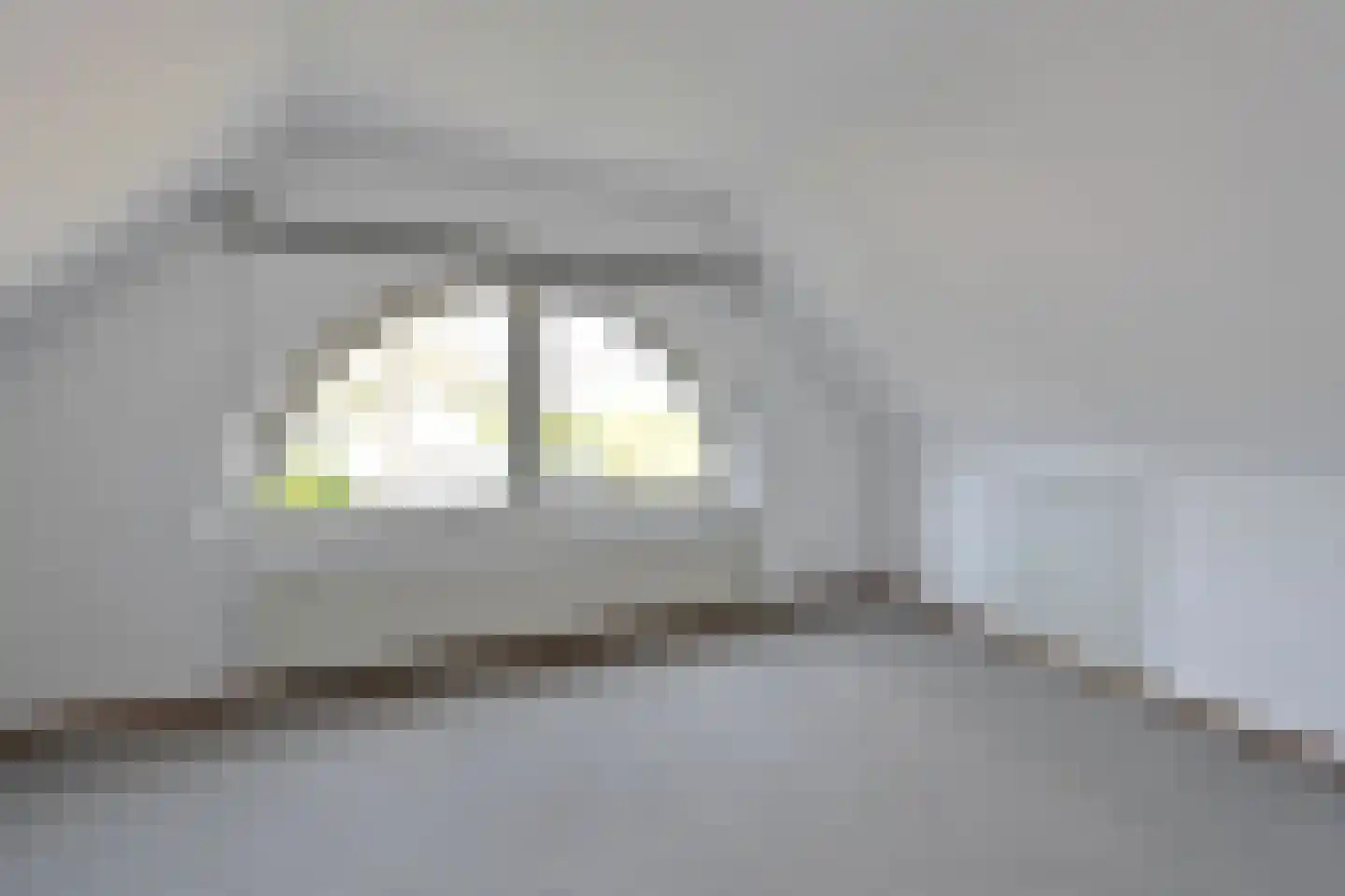 Dr. Willem Dreeslaan 15 Huizen thumbnail 25