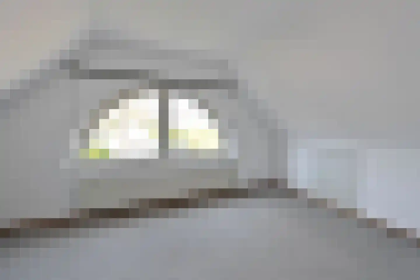 Dr. Willem Dreeslaan 15 Huizen thumbnail 26