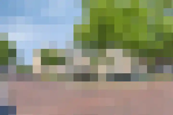 Dr. Willem Dreeslaan 62 Dongen thumbnail 10