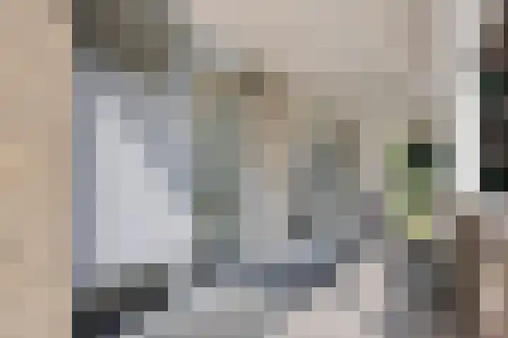Dr. Willem Dreeslaan 62 Dongen thumbnail 13