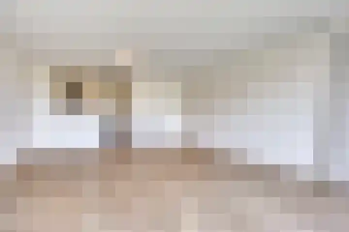 Dr. Willem Dreeslaan 62 Dongen thumbnail 17