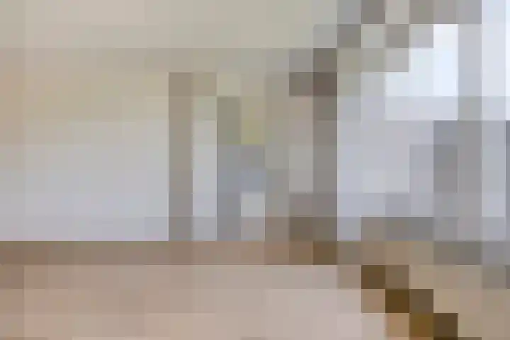 Dr. Willem Dreeslaan 62 Dongen thumbnail 18