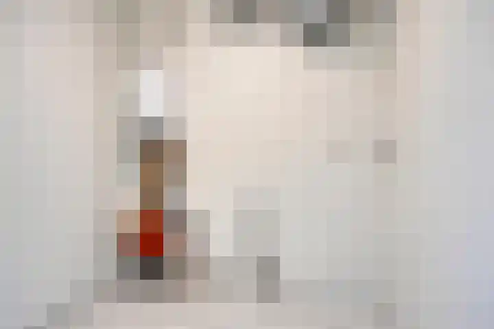 Dr. Willem Dreeslaan 62 Dongen thumbnail 23