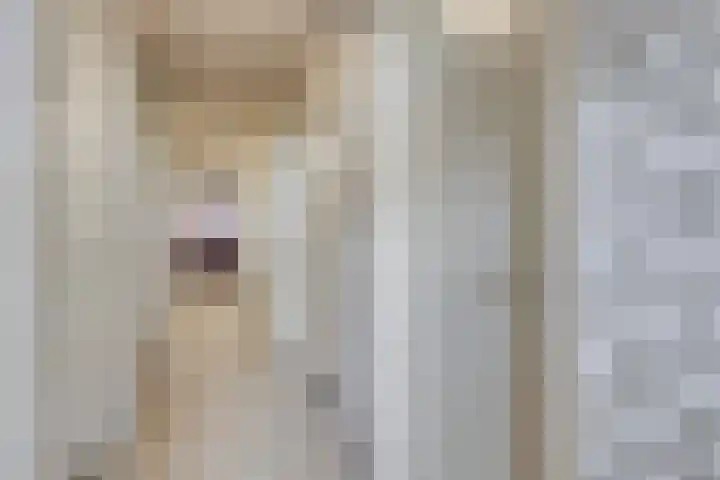 Dr. Willem Dreeslaan 62 Dongen thumbnail 30