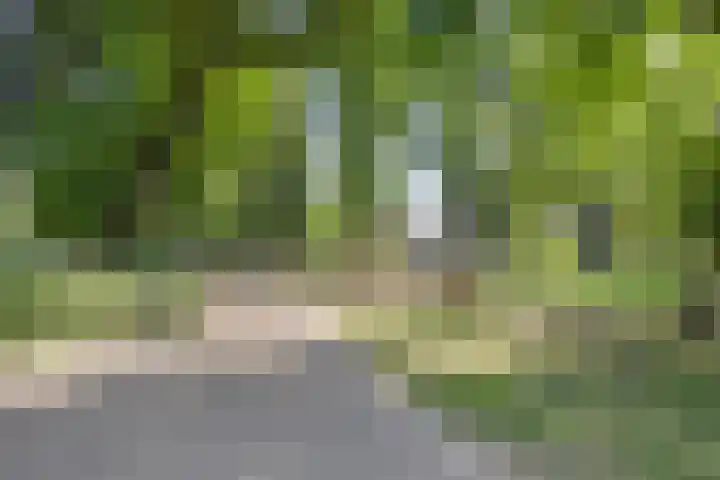 Dr. Willem Dreeslaan 62 Dongen thumbnail 35