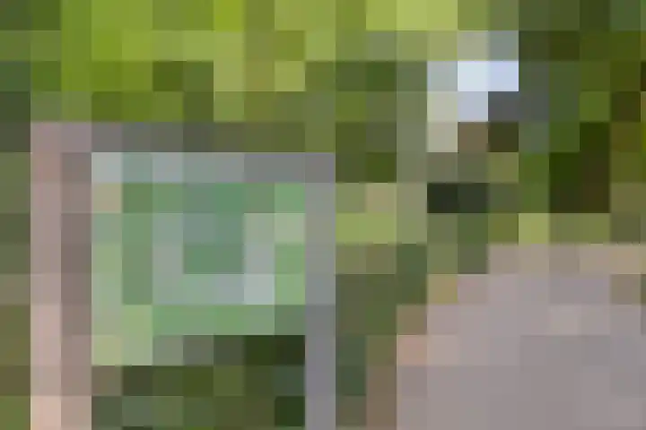 Dr. Willem Dreeslaan 62 Dongen thumbnail 36