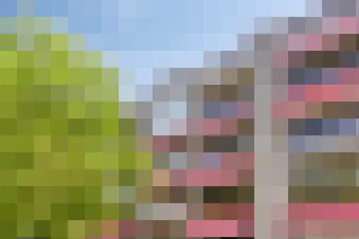 Dr. Willem Dreeslaan 62 Dongen thumbnail 37