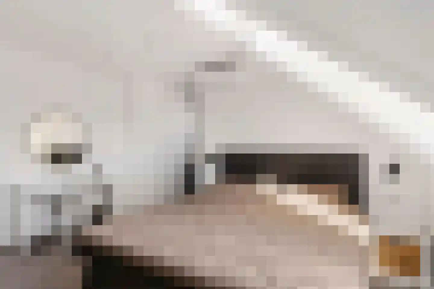 Dr. Willem Dreessingel 137 Arnhem thumbnail 14