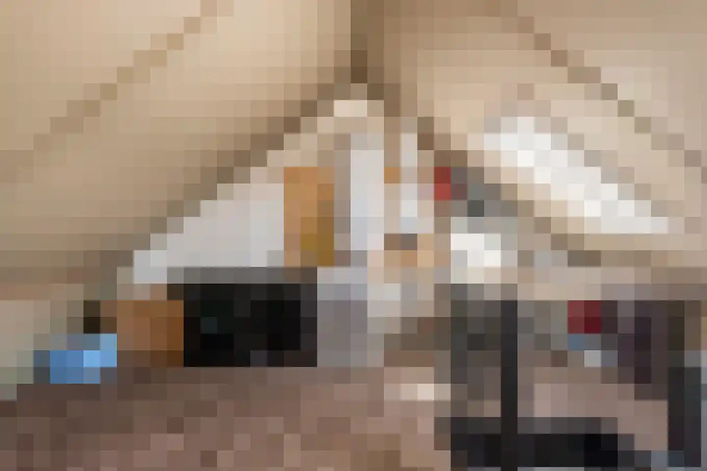 Dr. Willem Dreessingel 137 Arnhem thumbnail 18