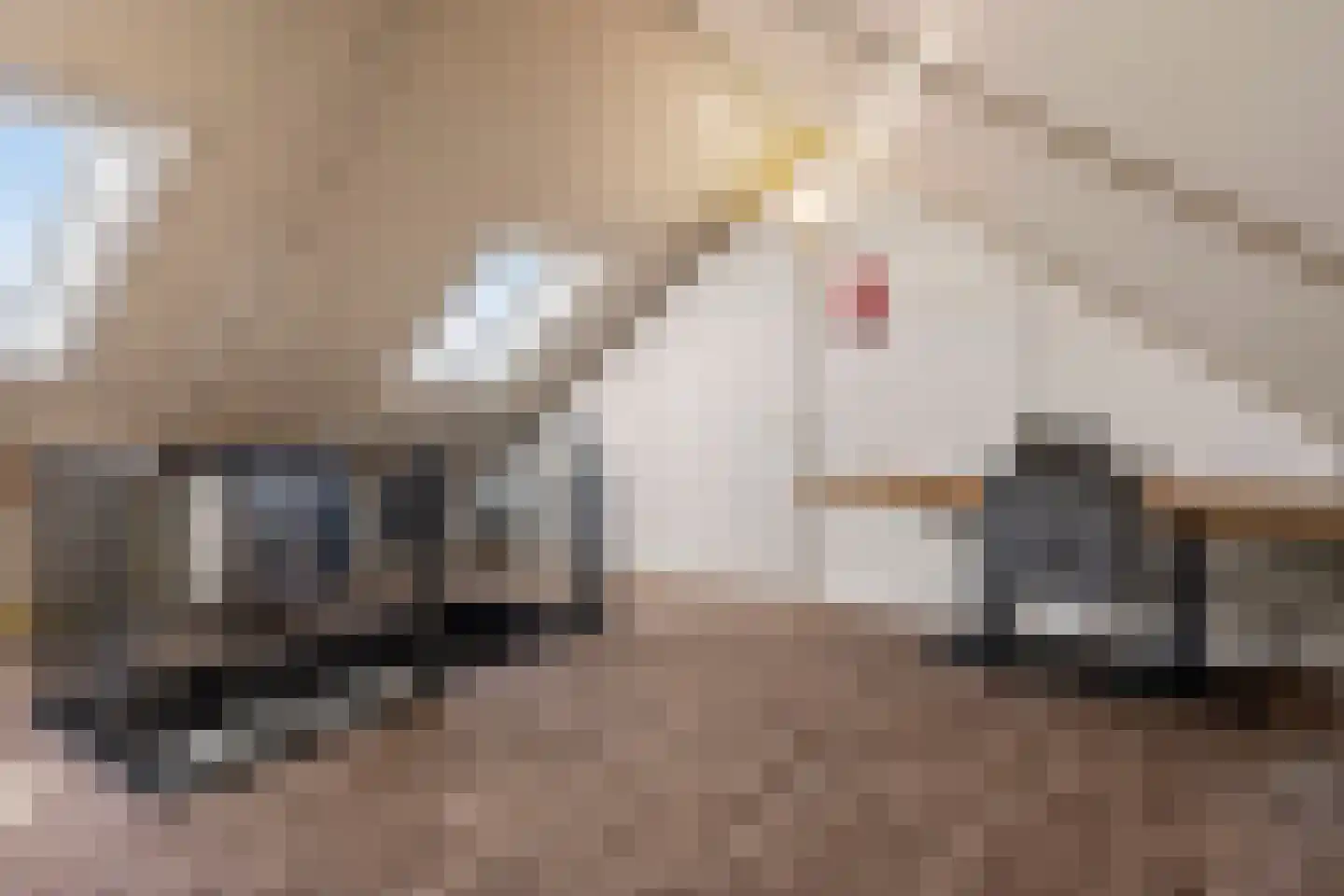 Dr. Willem Dreessingel 137 Arnhem thumbnail 19