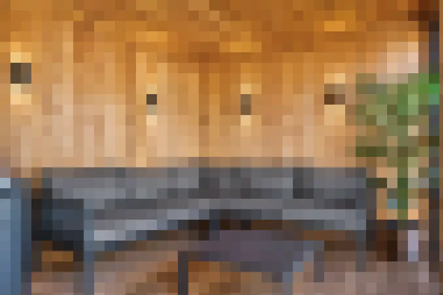 Dr. Willem Dreessingel 137 Arnhem thumbnail 22