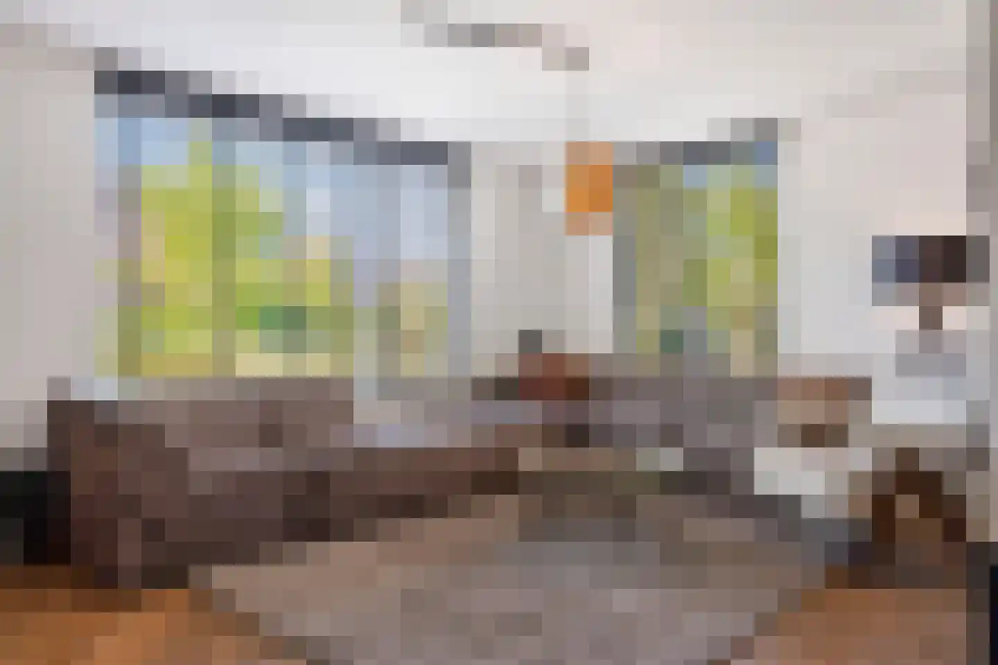 Dr. Willem Dreessingel 137 Arnhem thumbnail 4