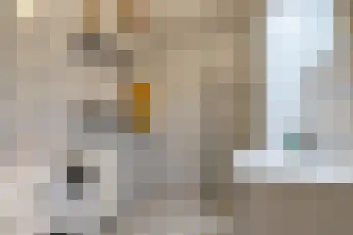 Dr. Willem Dreessingel 215 Arnhem thumbnail 18