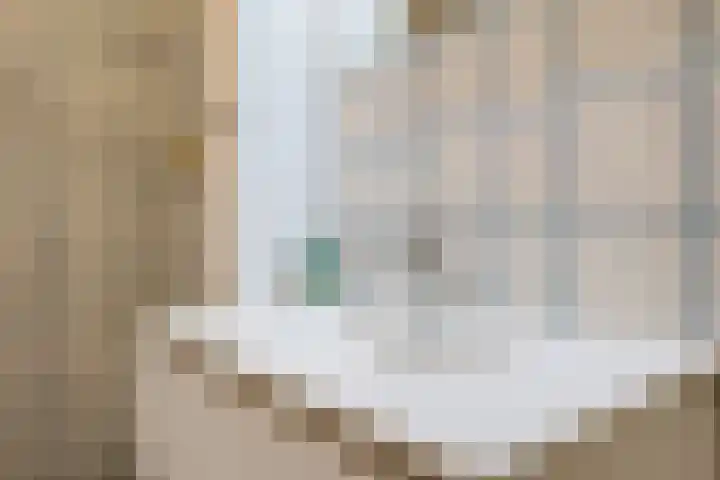 Dr. Willem Dreessingel 215 Arnhem thumbnail 19