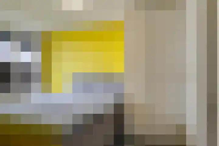 Dr. Willem Dreessingel 215 Arnhem thumbnail 31