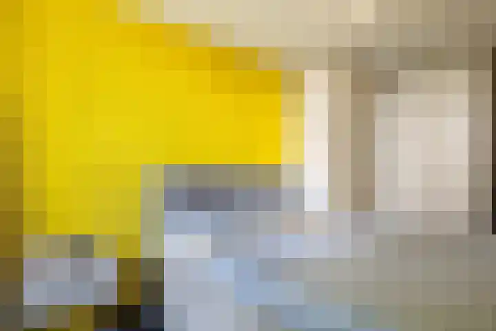 Dr. Willem Dreessingel 215 Arnhem thumbnail 34