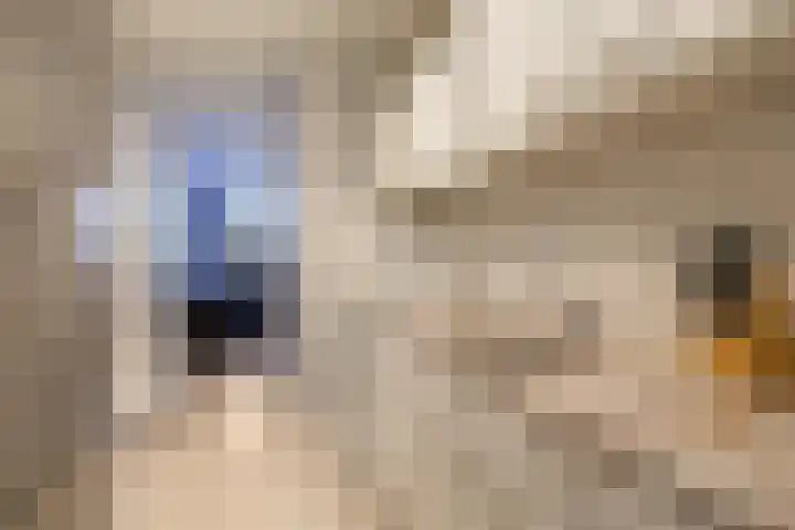 Dr. Willem Dreessingel 215 Arnhem thumbnail 38