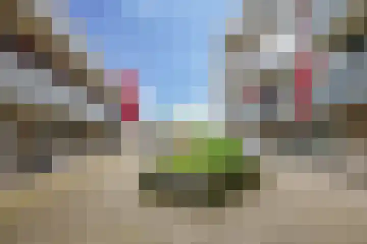 Dr. Willem Dreessingel 215 Arnhem thumbnail 4