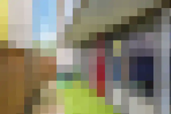 Dr. Willem Dreessingel 215 Arnhem thumbnail 43