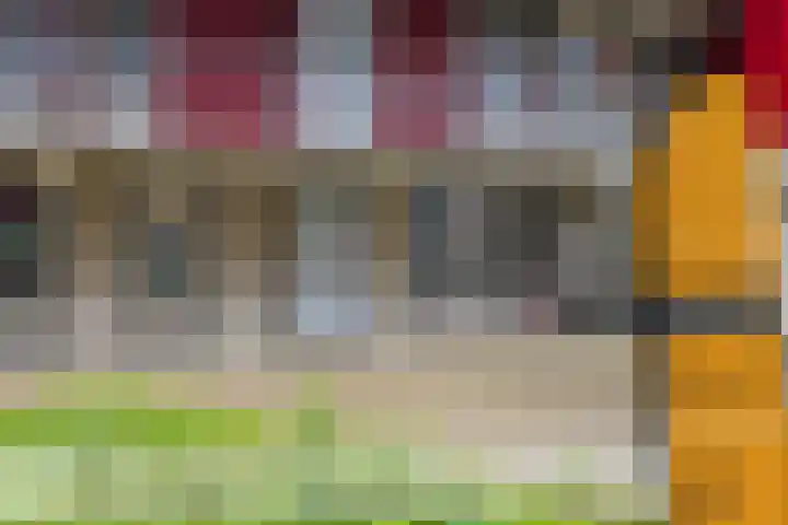 Dr. Willem Dreessingel 215 Arnhem thumbnail 49