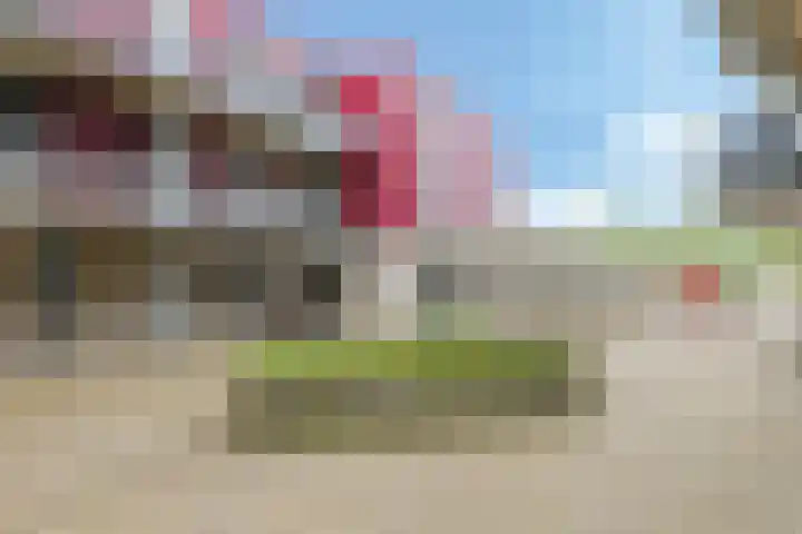 Dr. Willem Dreessingel 215 Arnhem thumbnail 5