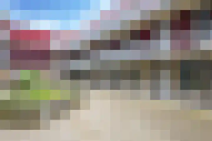 Dr. Willem Dreessingel 215 Arnhem thumbnail 6
