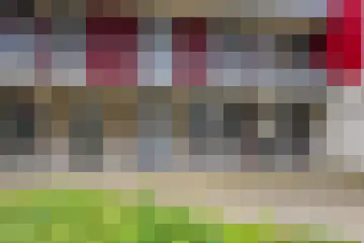 Dr. Willem Dreessingel 215 Arnhem thumbnail 7