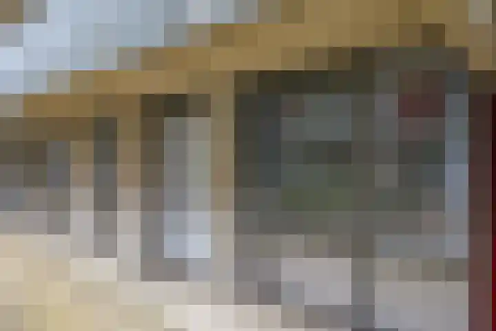 Dr. Willem Dreessingel 215 Arnhem thumbnail 9