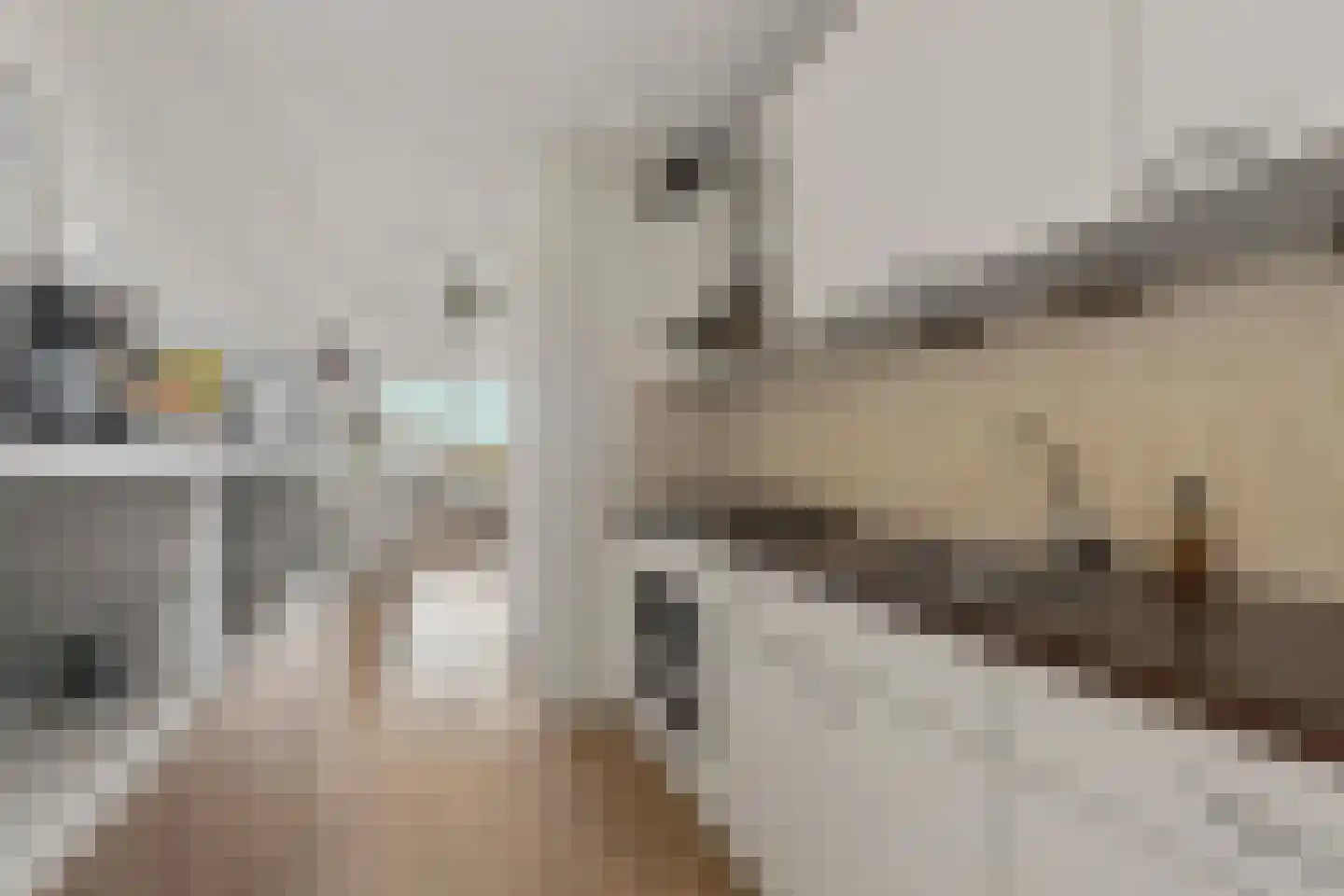 Dr. Willem Dreessingel 247 Arnhem thumbnail 12