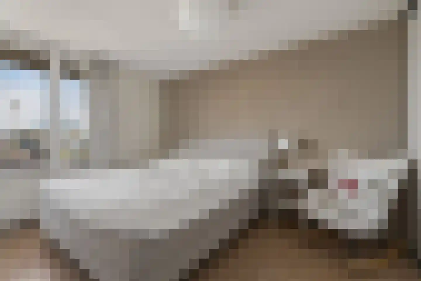 Dr. Willem Dreessingel 247 Arnhem thumbnail 14