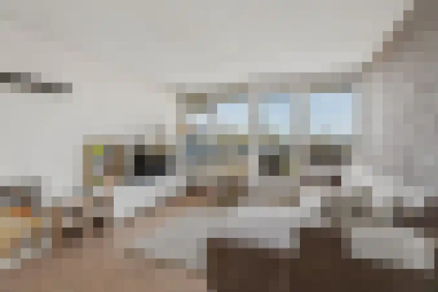 Dr. Willem Dreessingel 247 Arnhem thumbnail 5