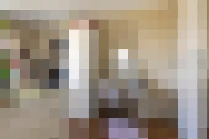 Dr. Willem Dreessingel 253 Arnhem thumbnail 11