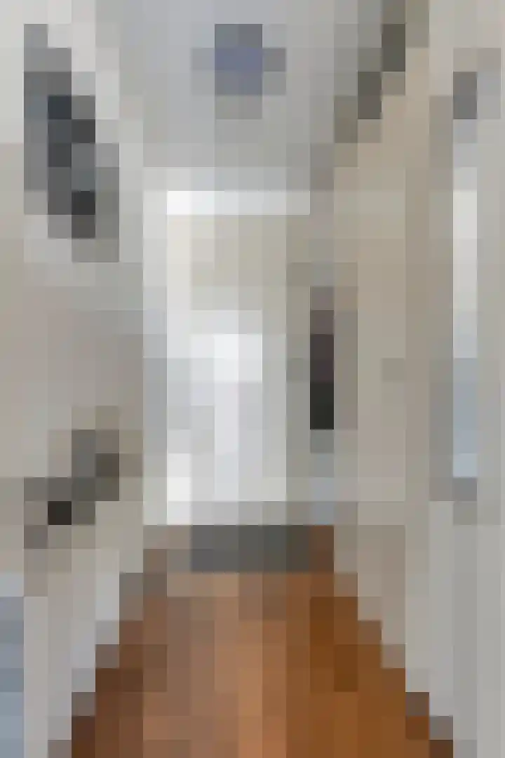Dr. Willem Dreessingel 253 Arnhem thumbnail 20