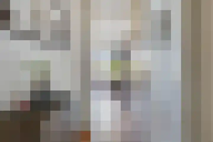 Dr. Willem Dreessingel 253 Arnhem thumbnail 21