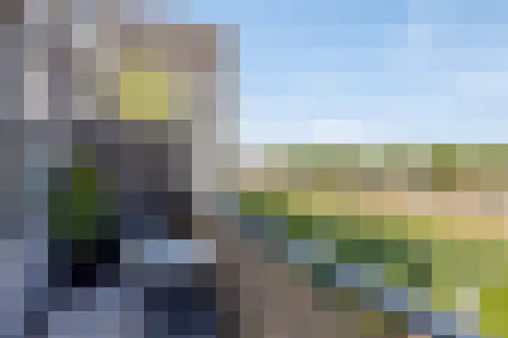 Dr. Willem Dreessingel 253 Arnhem thumbnail 22